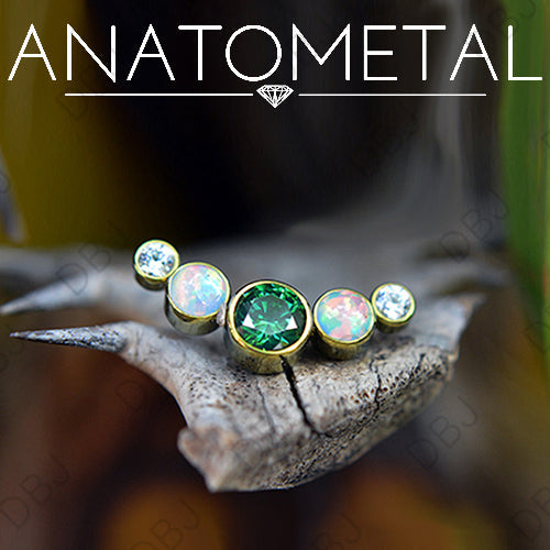 Anatometal