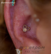 Triple Honeycomb