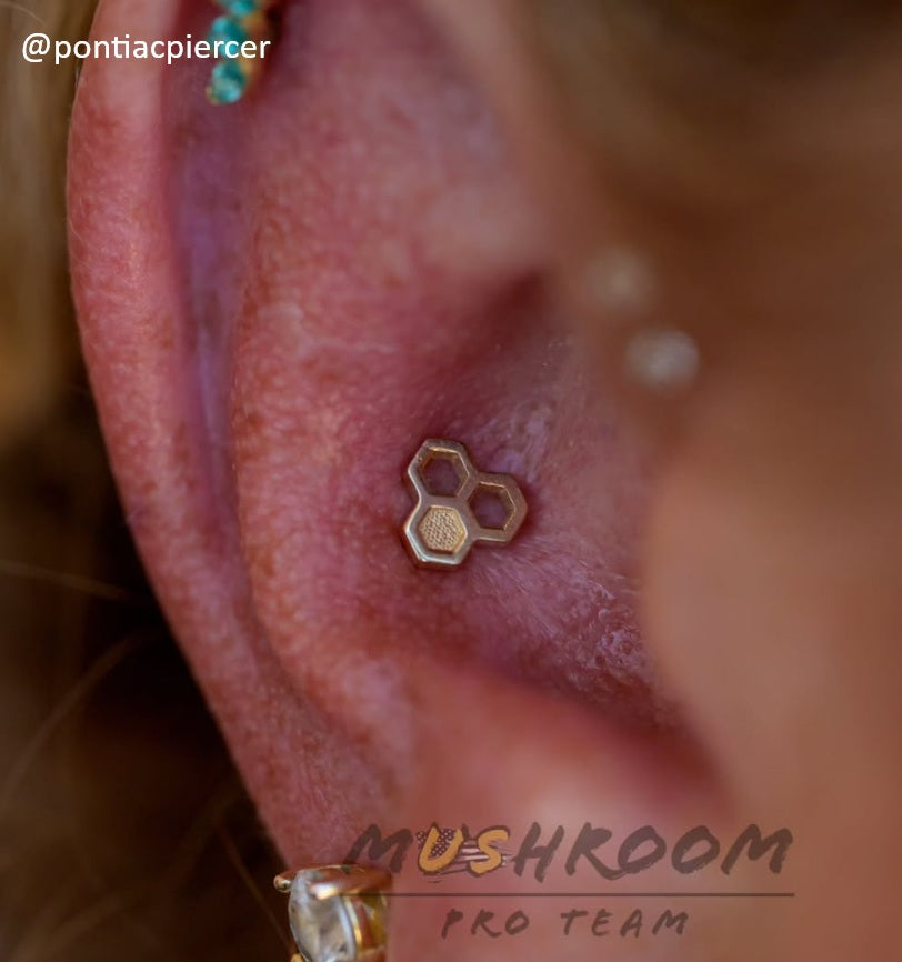 Triple Honeycomb