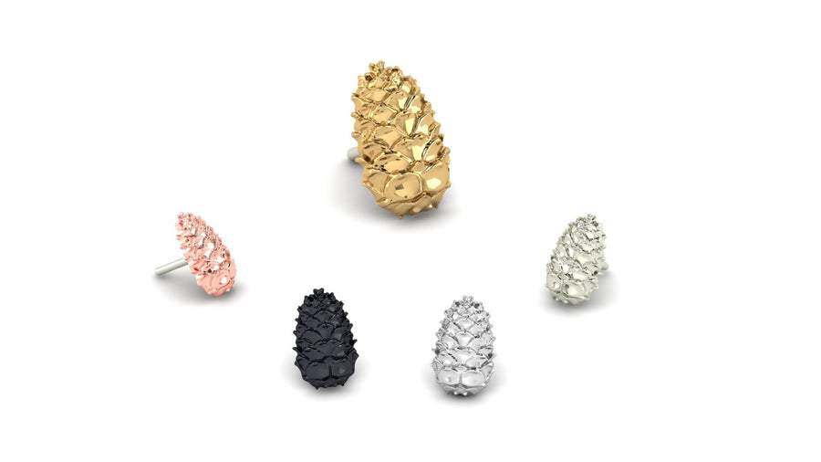 Pine Cone