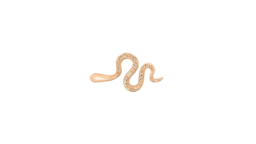 Snake