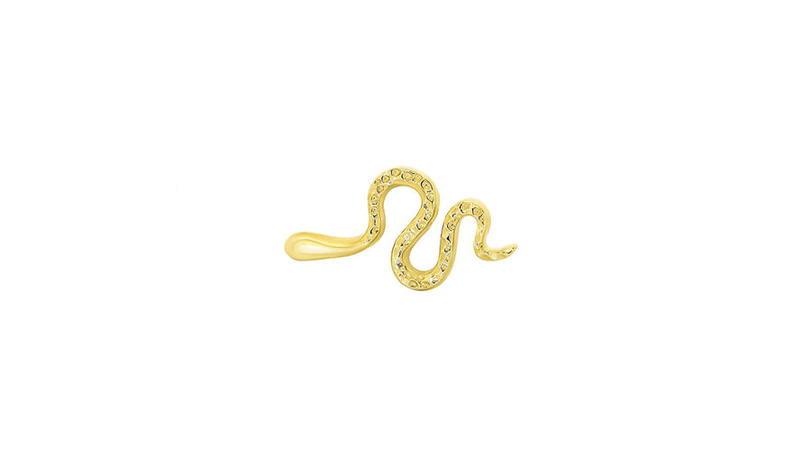 Snake
