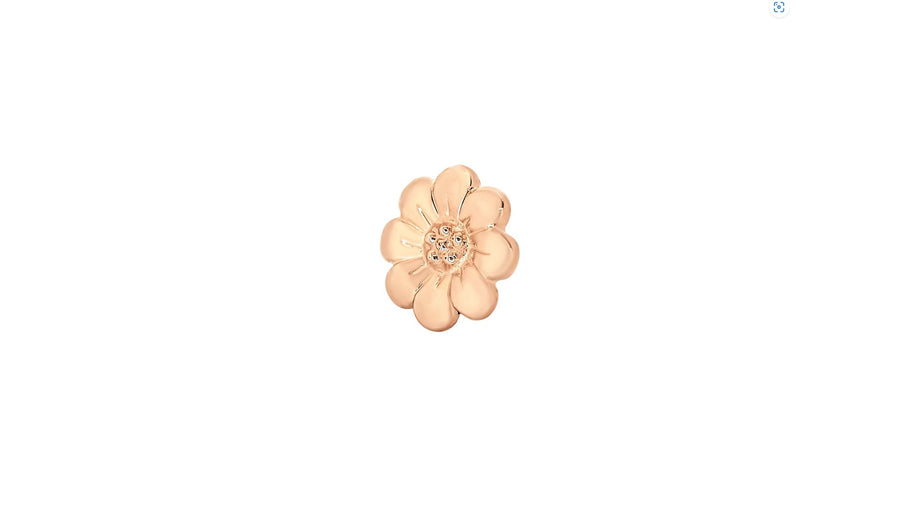 Daisy