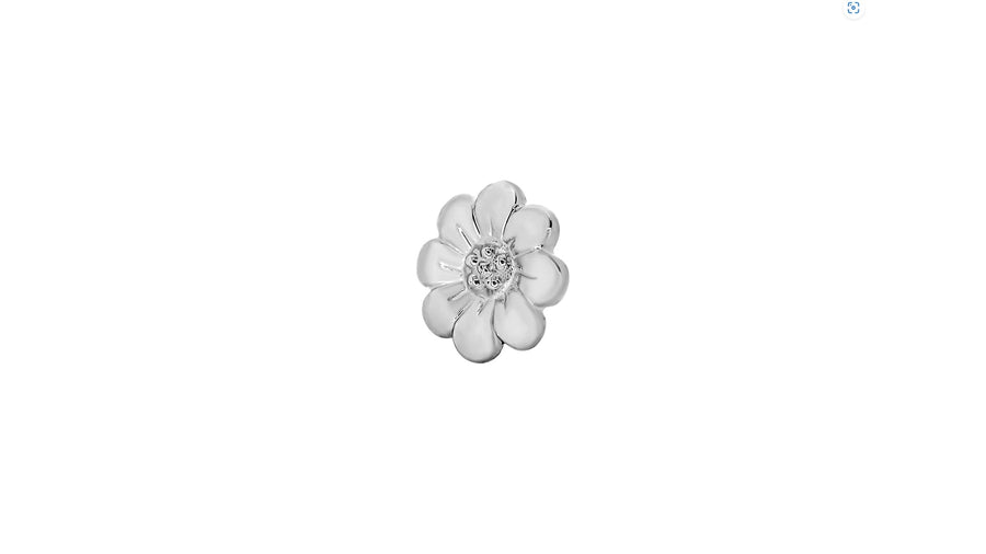 Daisy