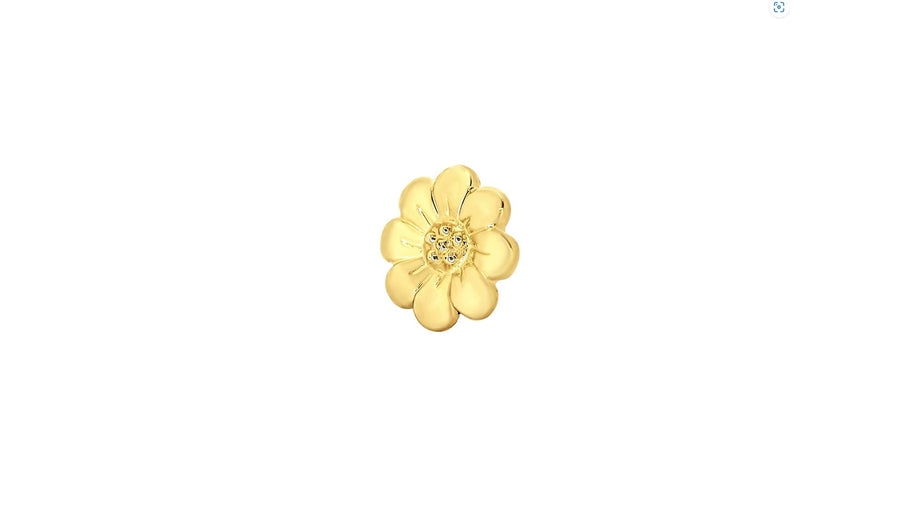 Daisy