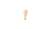 Seahorse