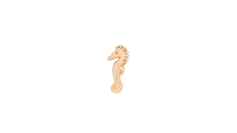 Seahorse