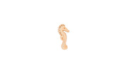 Seahorse