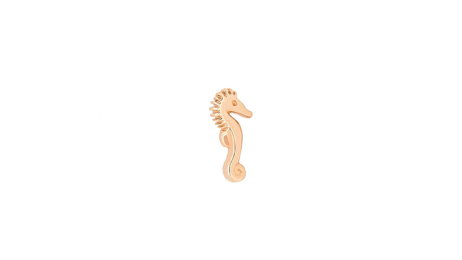 Seahorse