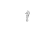 Seahorse