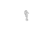 Seahorse