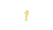 Seahorse