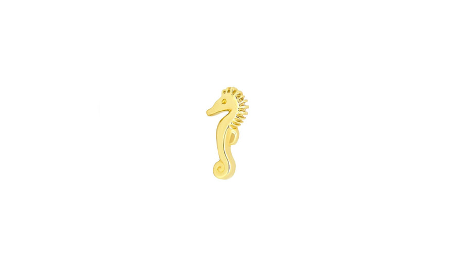 Seahorse