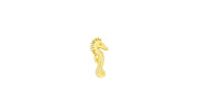Seahorse