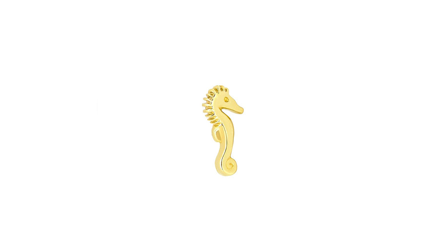 Seahorse