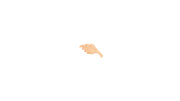 Elm Leaf