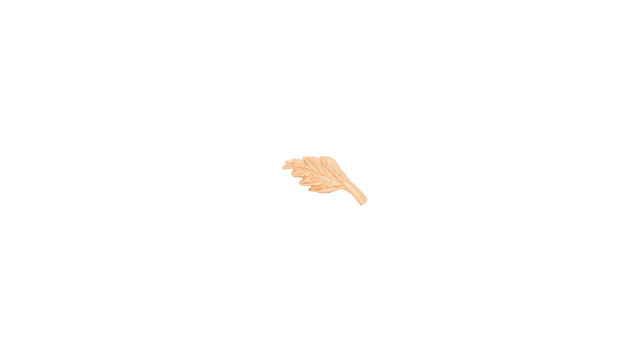 Elm Leaf