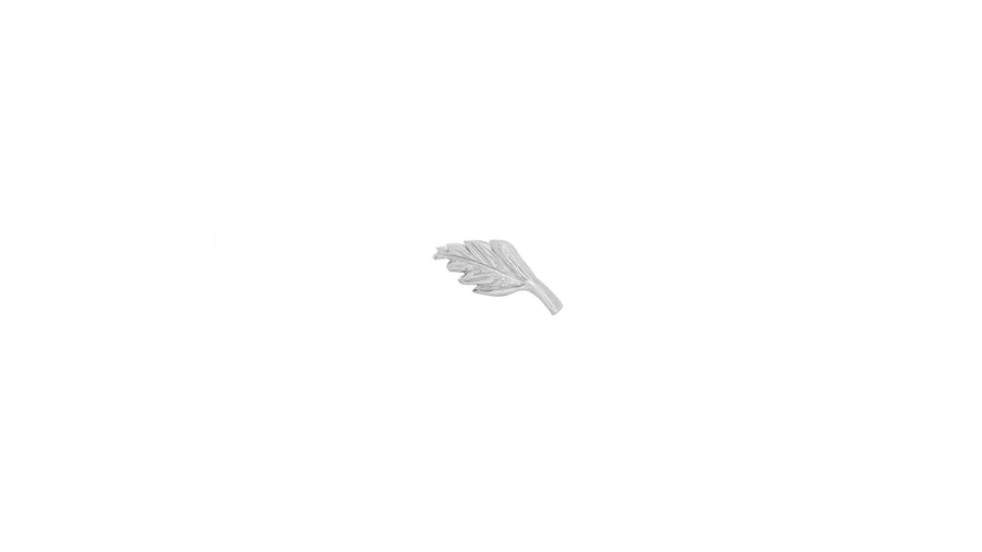 Elm Leaf