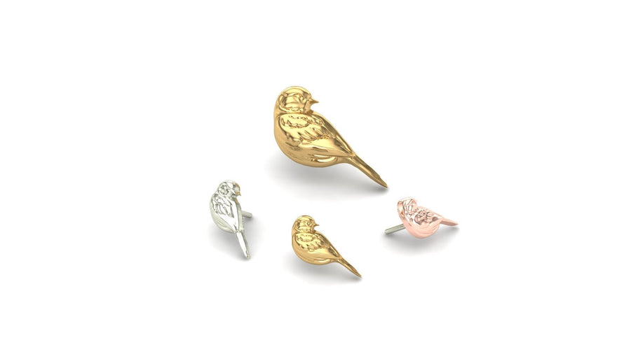 Finches