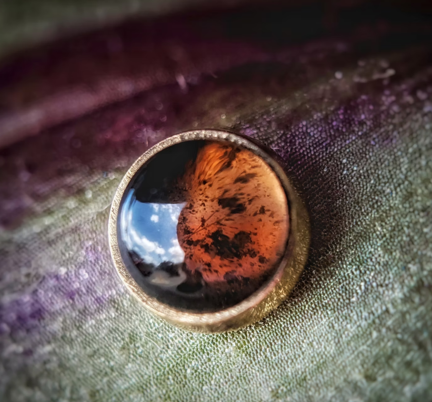 14k Gold Bezel Set Genuine Gemstone Threadless End