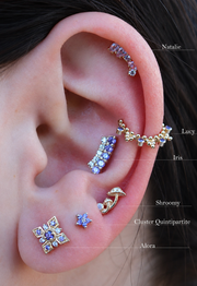 Cluster Quintipartite with Gemstone
