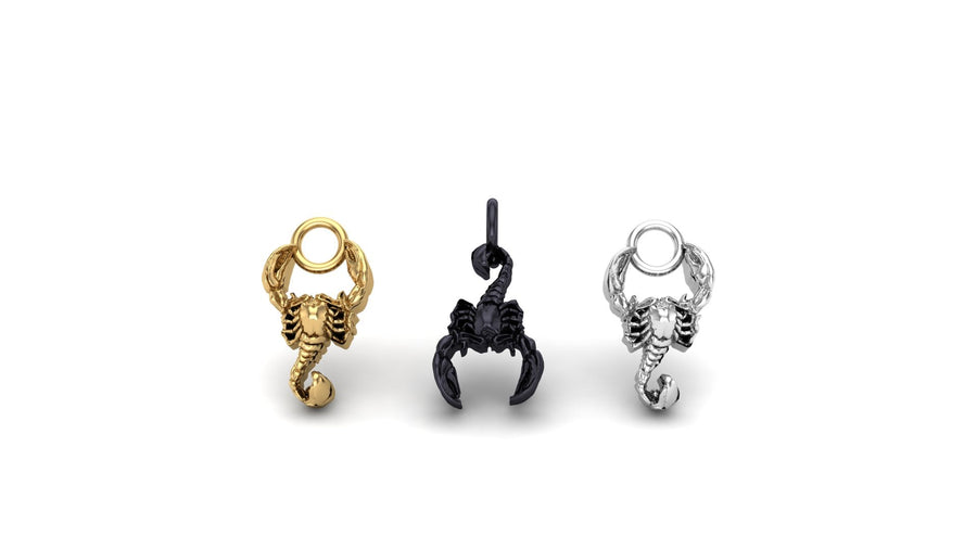 Scorpion Charm