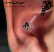 Fleur-De-Lis
