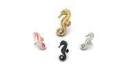 Spined Seahorse
