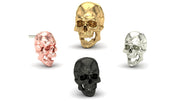 Jaw Motion Skull
