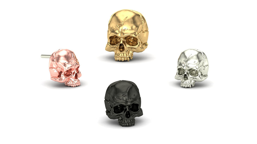 Jaw Motion Skull
