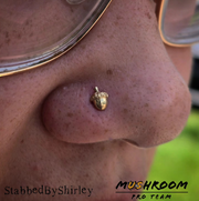Acorn