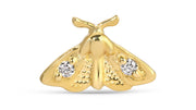 Moth