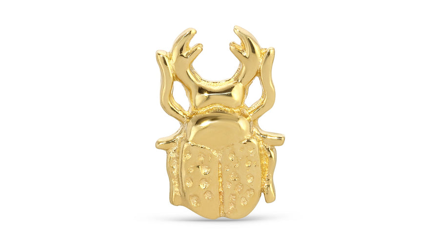 Scarab Beetle