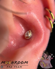 Ball Pear Bezel
