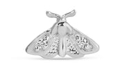 Moth