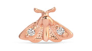 Moth