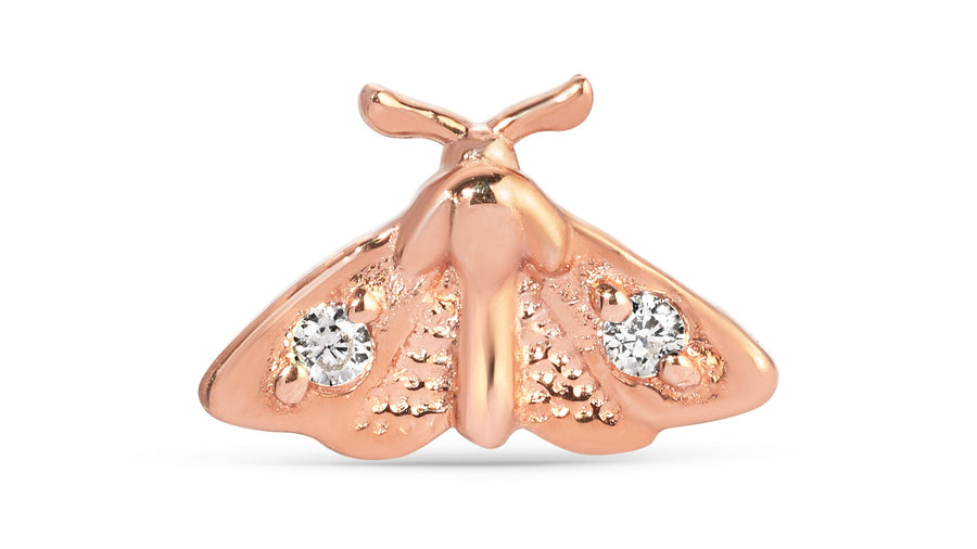 Moth