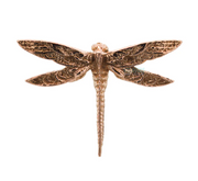 18k Gold Dragonfly Threadless Top