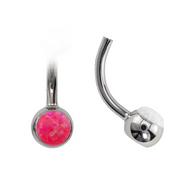 Canasteel Navel Barbell and Basic Top