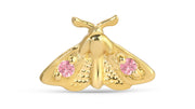 Moth