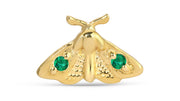 Moth
