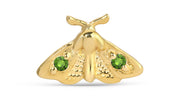 Moth