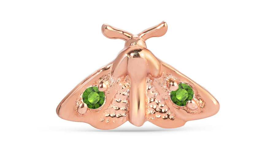 Moth