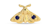 Moth