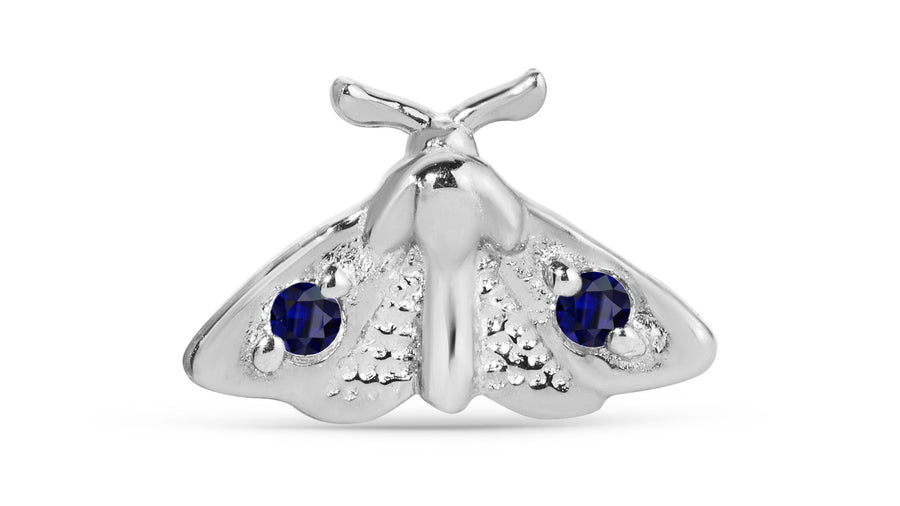 Moth