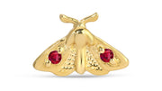 Moth
