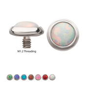 Titanium Bezel Set Synthetic Opal Dermal Top
