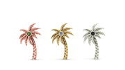 Palm Tree