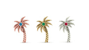 Palm Tree