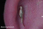 Parrot